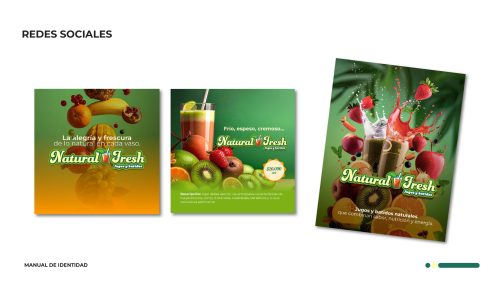 MANUAL logo_natural fresh-14