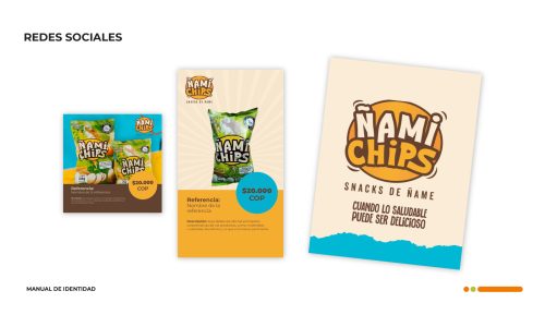 MANUAL ñami chips-14